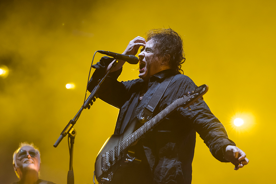 the wombats